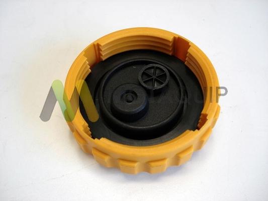 Motaquip LVCR321 - Sealing Cap, coolant tank autospares.lv