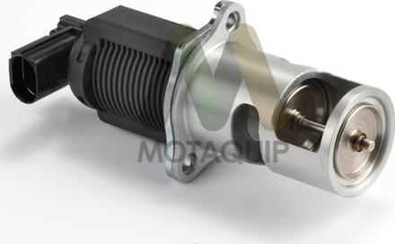 Motaquip LVER165 - EGR Valve autospares.lv