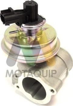 Motaquip LVER163 - EGR Valve autospares.lv