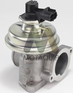 Motaquip LVER349 - EGR Valve autospares.lv