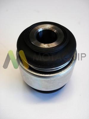 Motaquip LVSJ1079 - Bush of Control / Trailing Arm autospares.lv