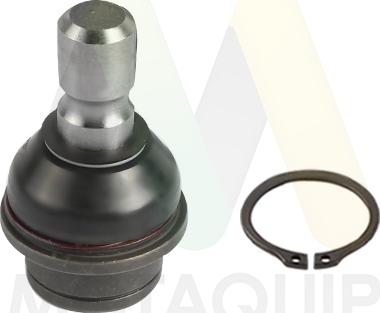 Motaquip LVSJ1198 - Ball Joint autospares.lv