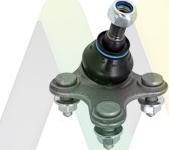 Motaquip LVSJ1189 - Ball Joint autospares.lv