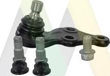 Motaquip LVSJ1187 - Ball Joint autospares.lv