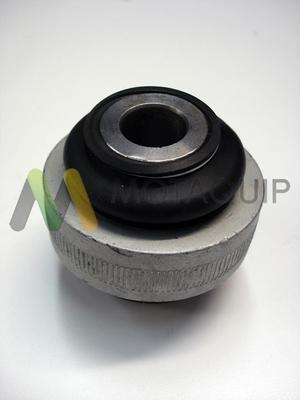 Motaquip LVSK829 - Bush of Control / Trailing Arm autospares.lv