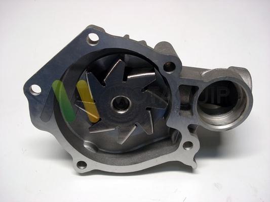 Motaquip LVWP991 - Water Pump autospares.lv