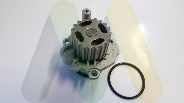 Motaquip LVWP1062 - Water Pump autospares.lv