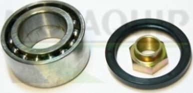 Motaquip VBK1187 - Wheel hub, bearing Kit autospares.lv