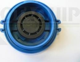 Motaquip VCR248 - Sealing Cap, coolant tank autospares.lv