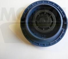 Motaquip VCR250 - Sealing Cap, coolant tank autospares.lv