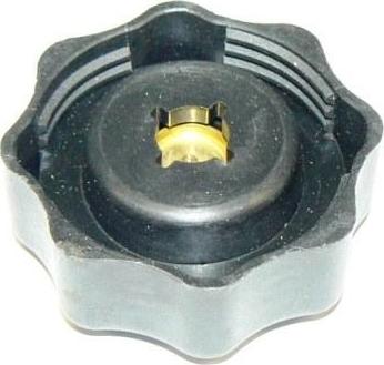 Motaquip VCR252 - Sealing Cap, coolant tank autospares.lv