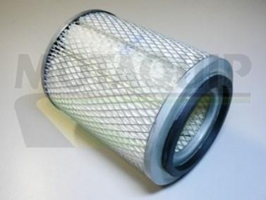 Motaquip VFA66 - Air Filter, engine autospares.lv