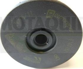 Motaquip VFF542 - Fuel filter autospares.lv