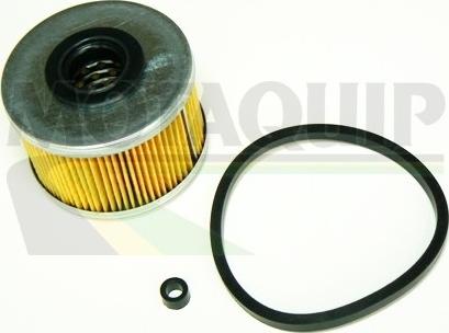 Motaquip VFF395 - Fuel filter autospares.lv