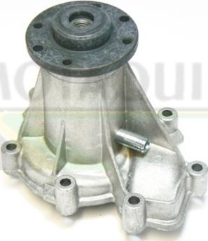 Motaquip VWP322 - Water Pump autospares.lv