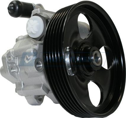 Motorherz P1244HG - Hydraulic Pump, steering system autospares.lv
