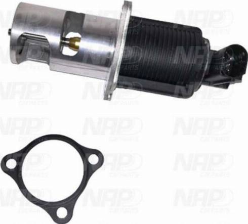 NAP CPA13043 - EGR Valve autospares.lv