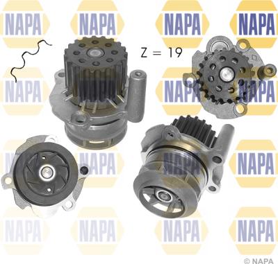 NAPA NWP1062 - Water Pump autospares.lv