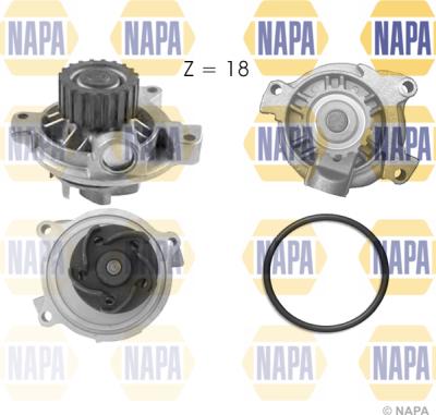 NAPA NWP1016 - Water Pump autospares.lv