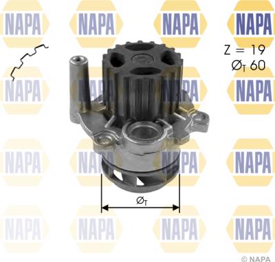 NAPA NWP1031 - Water Pump autospares.lv