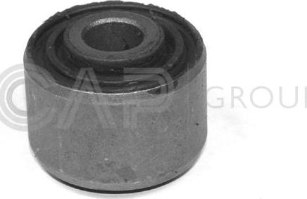 OCAP 1215466 - Bush of Control / Trailing Arm autospares.lv