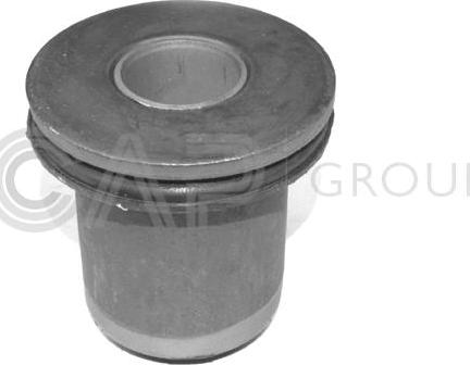 OCAP 1215610 - Bush of Control / Trailing Arm autospares.lv