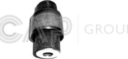 OCAP 1215670 - Bush of Control / Trailing Arm autospares.lv