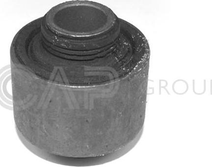 OCAP 1215010 - Bush of Control / Trailing Arm autospares.lv