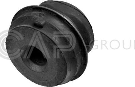 OCAP 1215124 - Bush of Control / Trailing Arm autospares.lv