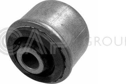 OCAP 1215205 - Bush of Control / Trailing Arm autospares.lv