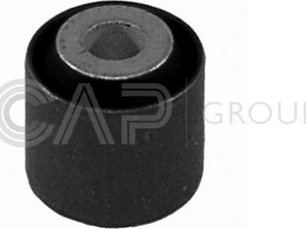 OCAP 1215201 - Bush of Control / Trailing Arm autospares.lv