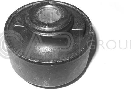 OCAP 1216153 - Bush of Control / Trailing Arm autospares.lv