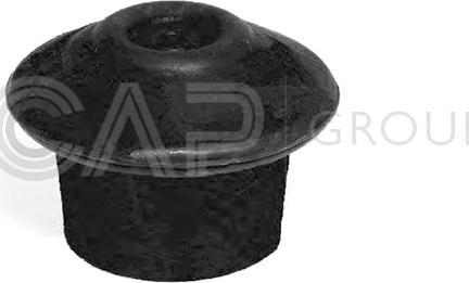 OCAP 1225893 - Rubber Buffer, engine mounting autospares.lv