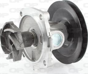 Open Parts WAP8096.00 - Water Pump autospares.lv