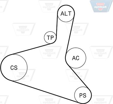 Optibelt 6 DPK 1195KT1 - V-Ribbed Belt Set autospares.lv