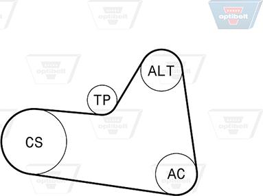 Optibelt 6 PK 1710KT1 - V-Ribbed Belt Set autospares.lv