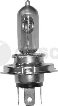 OSSCA 03155 - Bulb, headlight autospares.lv