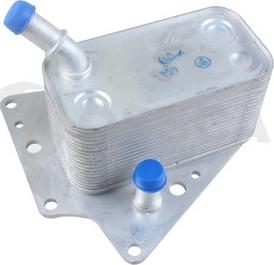 OSSCA 24250 - Oil Cooler, engine oil autospares.lv