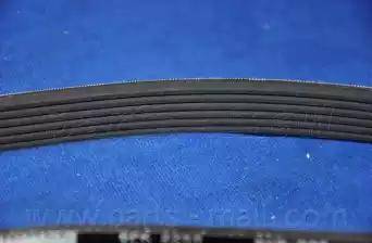 Parts-Mall PVR-006 - V-Belt autospares.lv