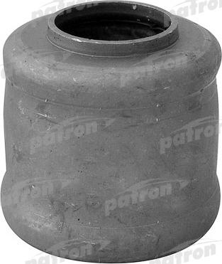 Patron PSE10236 - Bush of Control / Trailing Arm autospares.lv