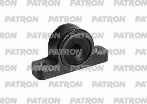 Patron PSE11931 - Bush of Control / Trailing Arm autospares.lv