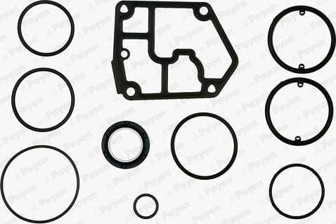 Payen EF5380 - Gasket Set, crank case autospares.lv