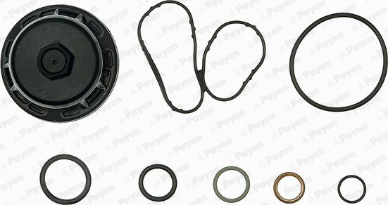 Payen EG9760 - Gasket Set, crank case autospares.lv