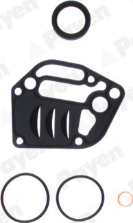 Payen EY841 - Gasket Set, crank case autospares.lv