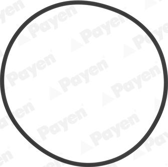 Payen HL5383 - O-Ring Set, cylinder sleeve autospares.lv