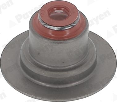 Payen HR5145 - Seal Set, valve stem autospares.lv