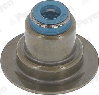 Payen HR5152 - Seal Set, valve stem autospares.lv