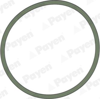 Payen JD5228 - Gasket, intake manifold autospares.lv