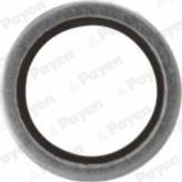 Payen KG5341 - Seal Ring, oil drain plug autospares.lv