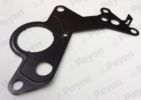 Payen KK5746 - Gasket, fuel pump autospares.lv